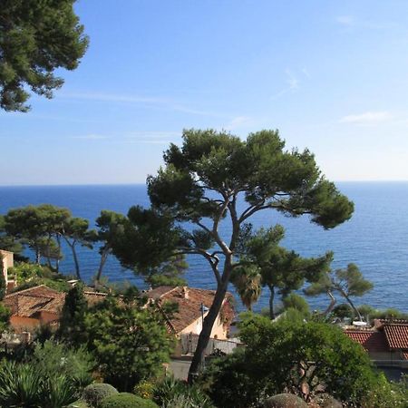 Les Bruyeres Bed and Breakfast Saint-Mandrier-sur-Mer Exterior foto